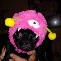 Linda Robinson Juarez's profile image