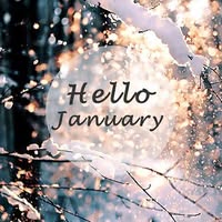 Heather Q Hester's profile image