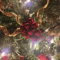 Stefanie Mason's profile image