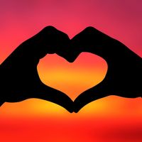 Judy Brackett Purdin's profile image