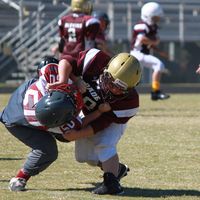 Briana Powchak's profile image