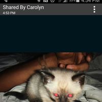 Patrick Powell's profile image
