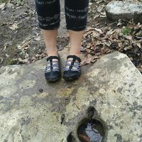 Jessica Temple's profile image