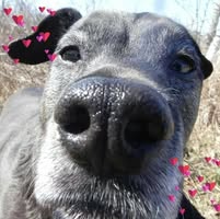 Mary Woolford's profile image
