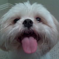 Josie Chang's profile image