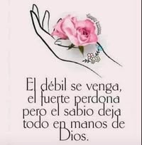 Amalia Soledad Moreno's profile image