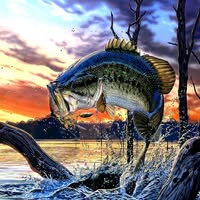 Thomas-Sabrina Leslie's profile image