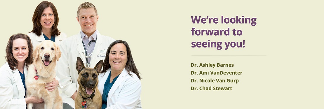 Louisville Family Animal Hospital's cover image