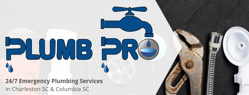 Plumb Pro+'s cover image