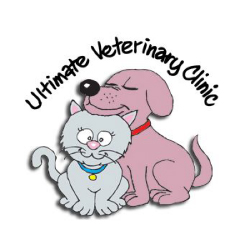 warren veterinary clinic