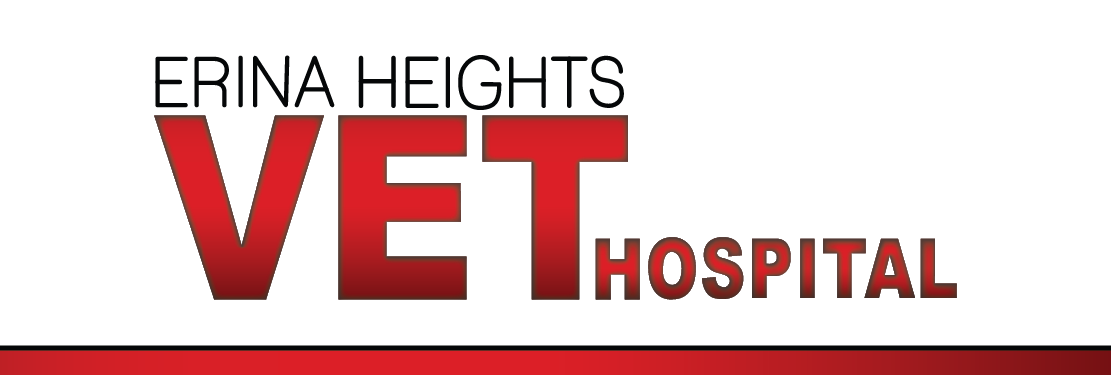 Erina Heights Vet Hospital's cover image