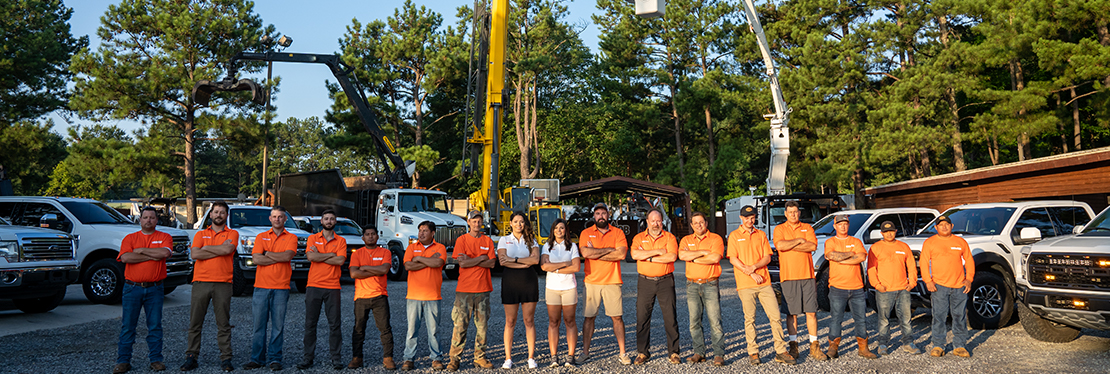 Atlanta Tree Services's cover image
