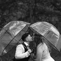 Anna Pedicini's profile image