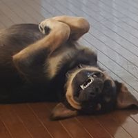 Sarah Hyde's profile image