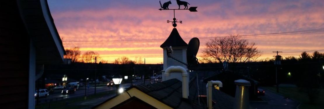 Andover Animal Hospital