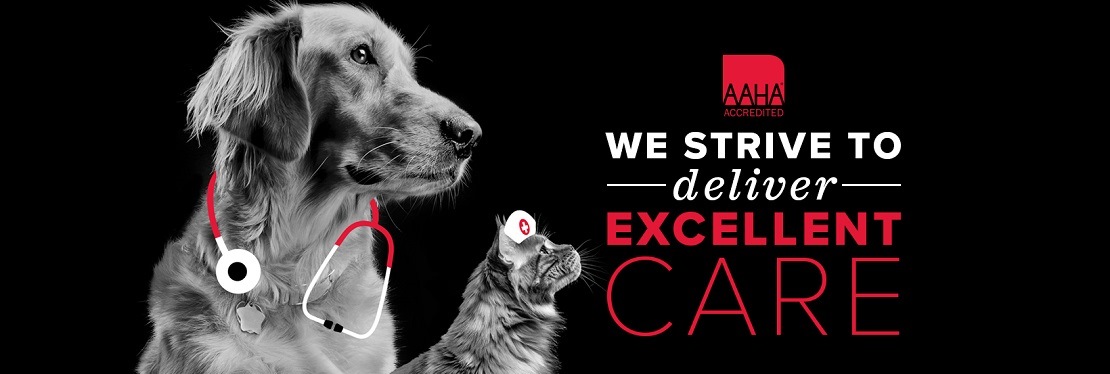 FM 1960 Animal Hospital's cover image