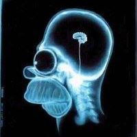 Kal Wayne's profile image