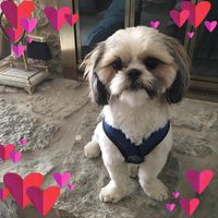 Dana Pearson's profile image