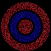 Jima Jenkins McCarrens's profile image