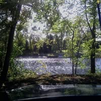 Mary Beth Knowlton's profile image