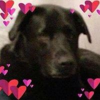 Barbara Hampton's profile image