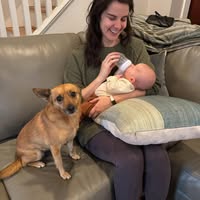 Sarah King's profile image