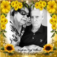 Adriana Reyes's profile image