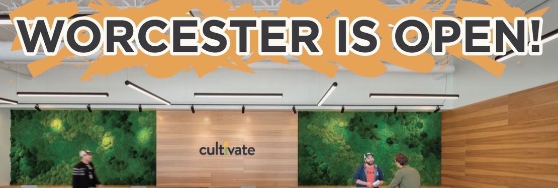 Cultivate Worcester's cover image