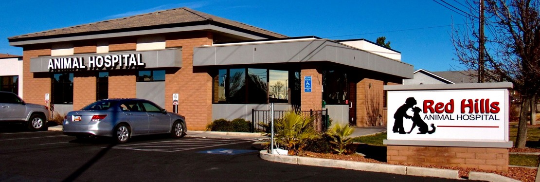 Red Hills Animal Hospital's cover image