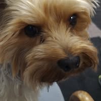 Cathy Kichline's profile image