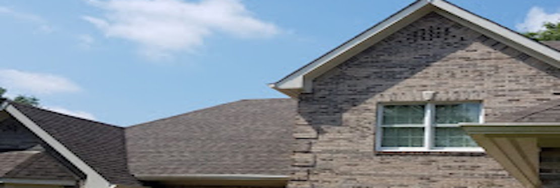 David Lowe Roofing's cover image