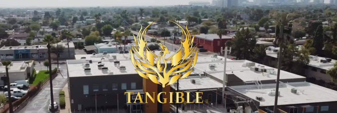 Tangible Wellness (Tangible Tanning)'s cover image