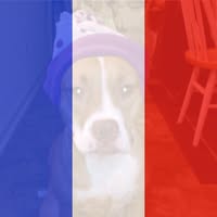 Jennifer Brunner's profile image