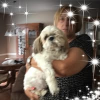 Sheri Lusby's profile image