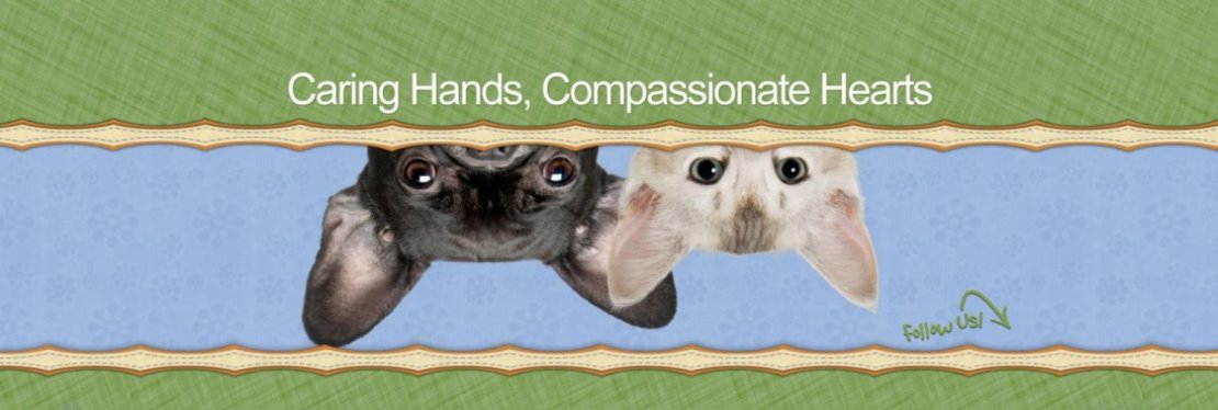 Ingersoll Animal Hospital's cover image
