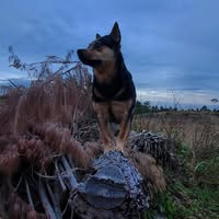 Mark Grant's profile image