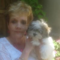 Joy Collard-Thomas's profile image