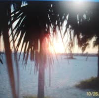 Tammy Chupp's profile image
