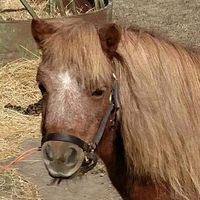 Jean Moch's profile image