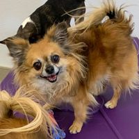 Linda Albert Huss's profile image