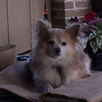 Amy Robinson's profile image