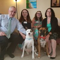 Brandy Russo's profile image