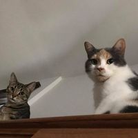 Carrie Kasenter's profile image