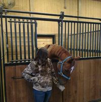 Tracy Kelley's profile image