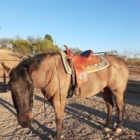 Kathy Campbell's profile image