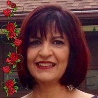 Sandy Rose's profile image