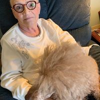 Paula Lombardo DeDomenico's profile image