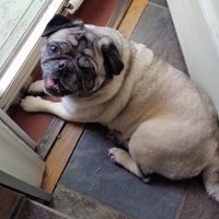 Paul Thorington's profile image