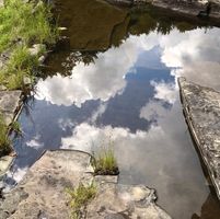 Pat Matisz's profile image