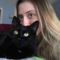 Kelly McCormick's profile image